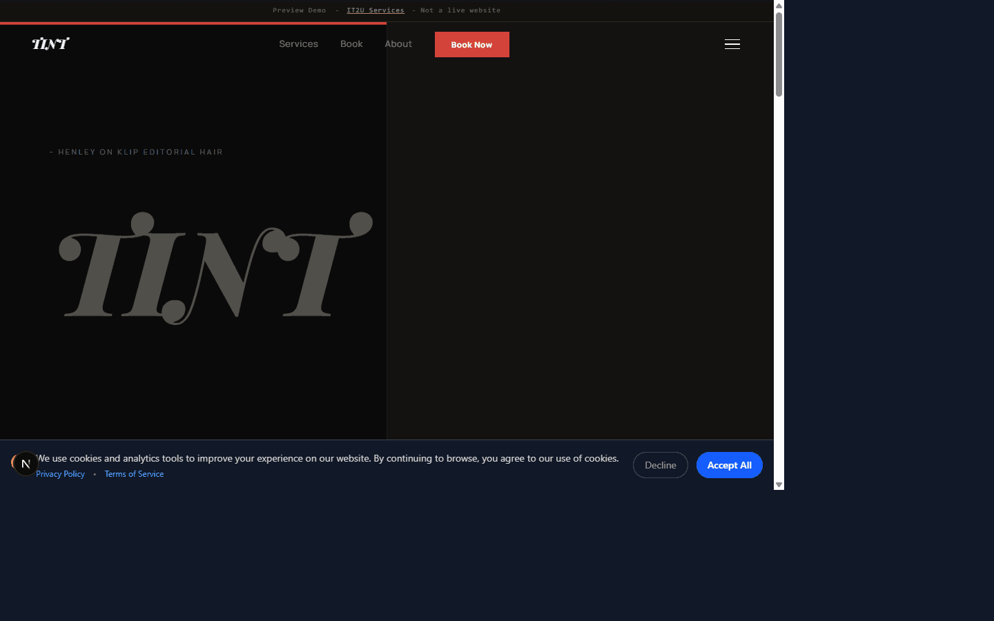 Tint preview