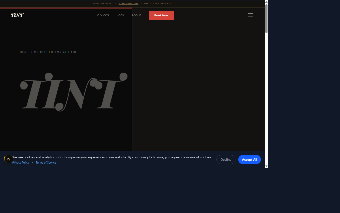 Tint preview
